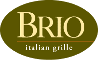 Brio logo